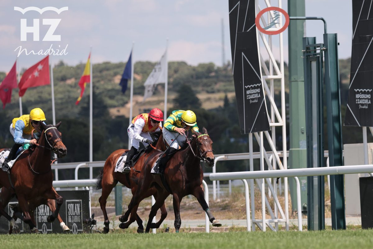 HipodromoMadrid's tweet photo. Quinta carrera: Premio Howden 

🥇 Delicada, Cuadra San José, preparación de @JCROSELLRACING y monta de @RicardoSousaFe 
🥈 Sikereti 
🥉 Florida Suite 

¡Enhorabuena a los ganadores!🏇🏆 https://t.co/EwSBuWbxvg