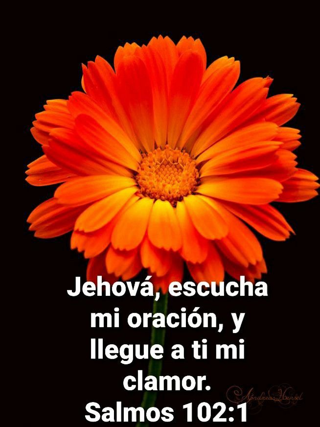Olga (@olcorsaolga) on Twitter photo 