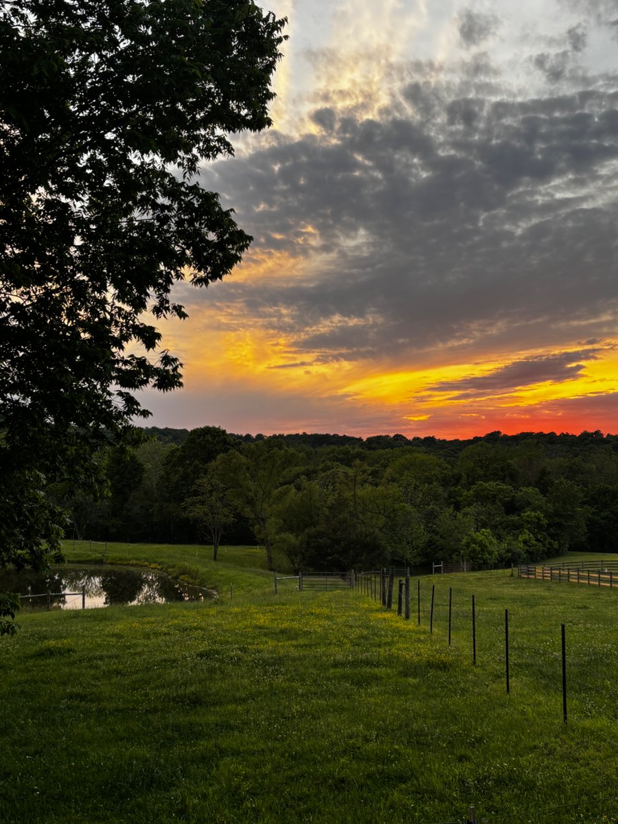 McRazorback's tweet photo. Two views amazing views after a long day of work. 

One moment it’s golden fields and quiet ponds at sunset.

The next it’s the river carving through the trees, still flowing no matter what.

This is where six campus ministers will spend June 1–30.

No phones.
No social media/p**n.
No screens.
No excuses.

Just raw off-grid living, hard manual labor with their hands, high-adrenaline days (kayaks on this river, risky hikes, caves, shooting), and daily Freedom Fight content that will tear down strongholds.

They’ll leave here unbreakable and stronger leaders, clearer vision, bolder witness ready to take real freedom back to their campuses across the country.

We’re talking major U.S. cities! 

That’s the vision.
That’s why we’re building it.

Today’s work was made possible by Rooted Excavation. Thank you Joel Meinardus for being the hands and feet of our Lord. 

#RiverReset30