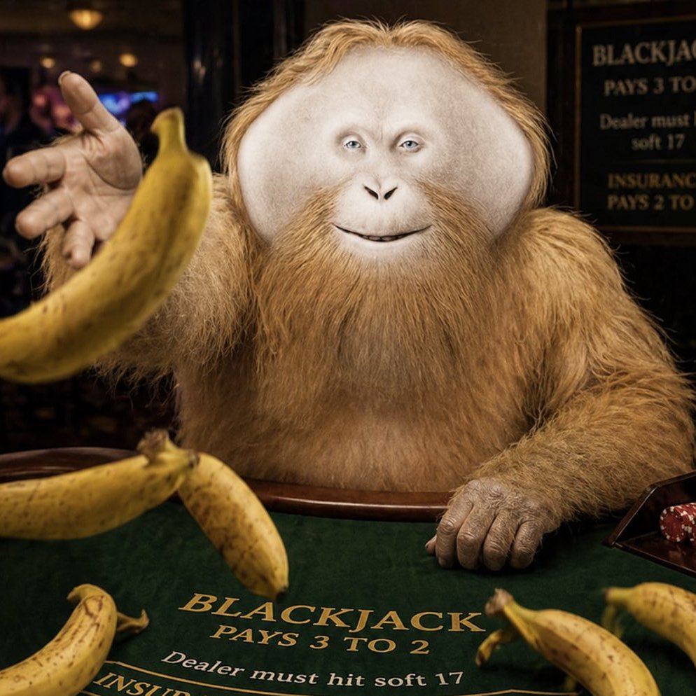 Esoteric Monkey tweet media