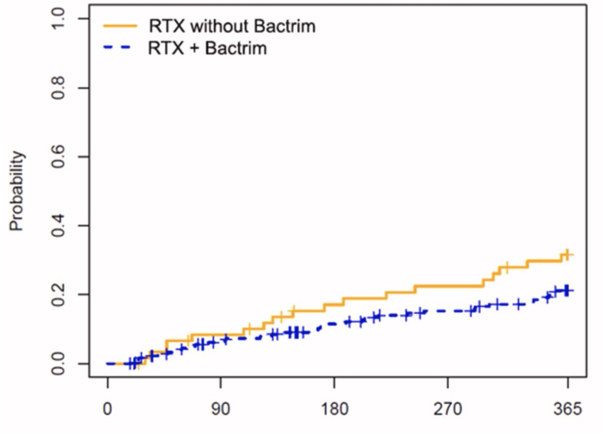 JonathanNefro's tweet photo. En Vasculitis ANCA tratados con Rituximab, dar profilaxis con trimetropim/sulfametoxazol, comparado a no hacerlo; se asoció a ↓47% riesgo de infección. Esta protección no se observó en otras glomerulopatias

Kidney Med 2026
10.1016/j.xkme.2026.101275 https://t.co/3HgXXbfRg6