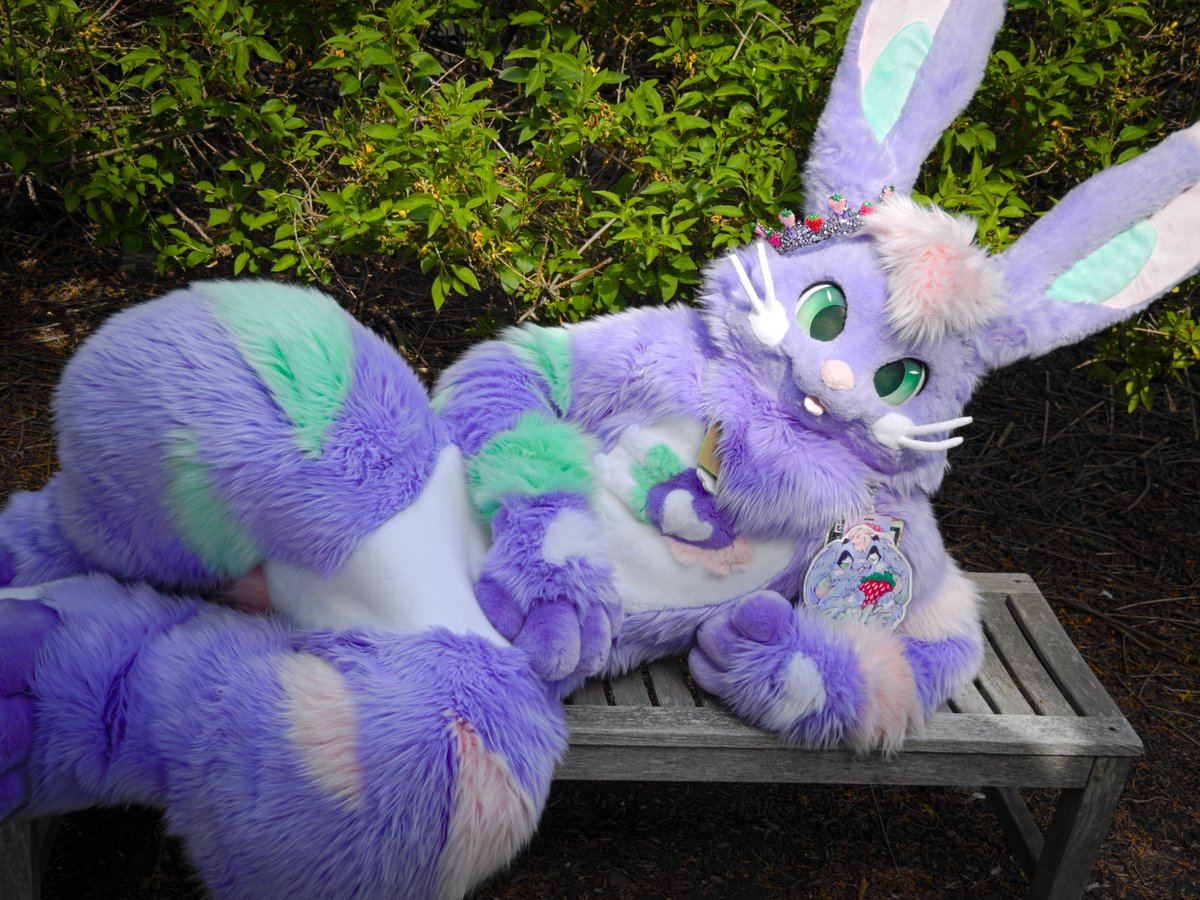 Bowie Bun (🐰) tweet media