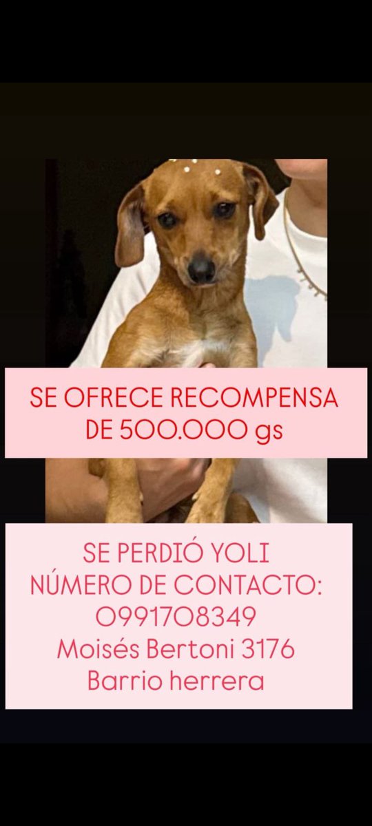 Buscamos a Yoli!
