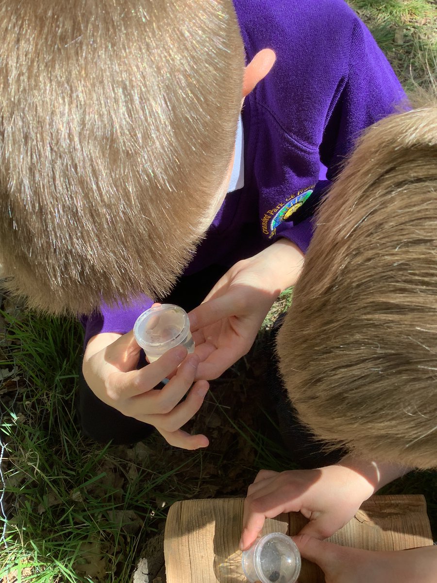 CranfordParkCE's tweet image. #Year4 finished their natural dyeing project in #forestschool this week. They also took time to slow down and relax in nature.