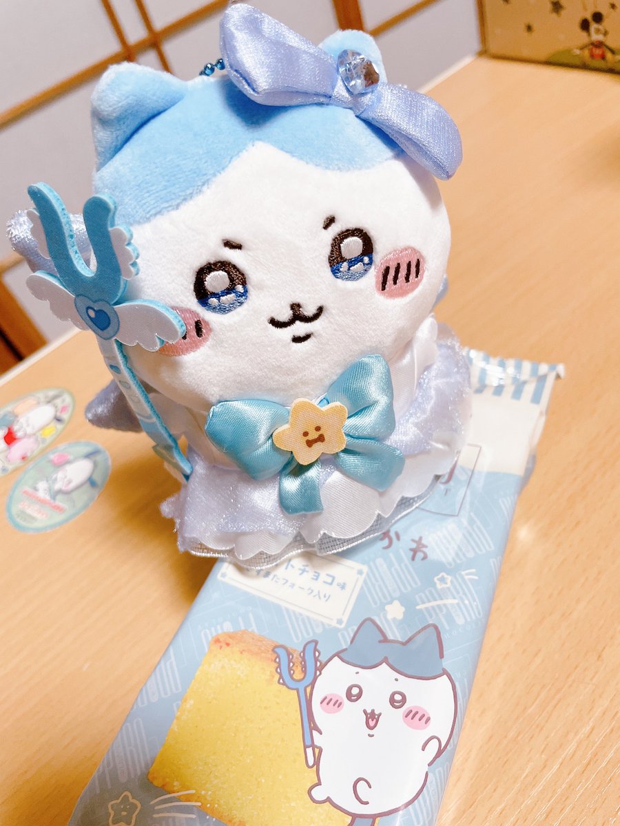 rurichi156's tweet photo. 迷子のまじかるハチワレ🩵💙🩵 https://t.co/lG0t05PSZu