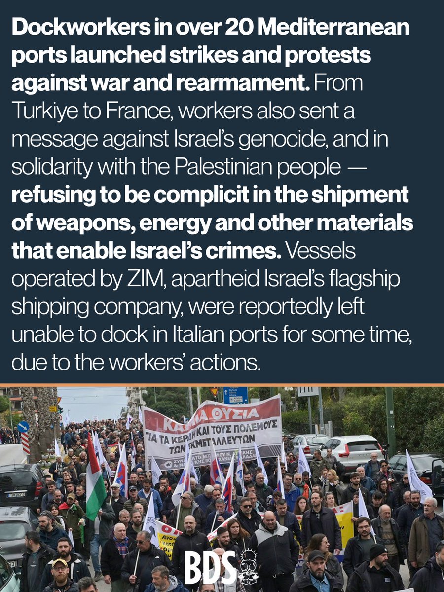 BDS movement tweet media