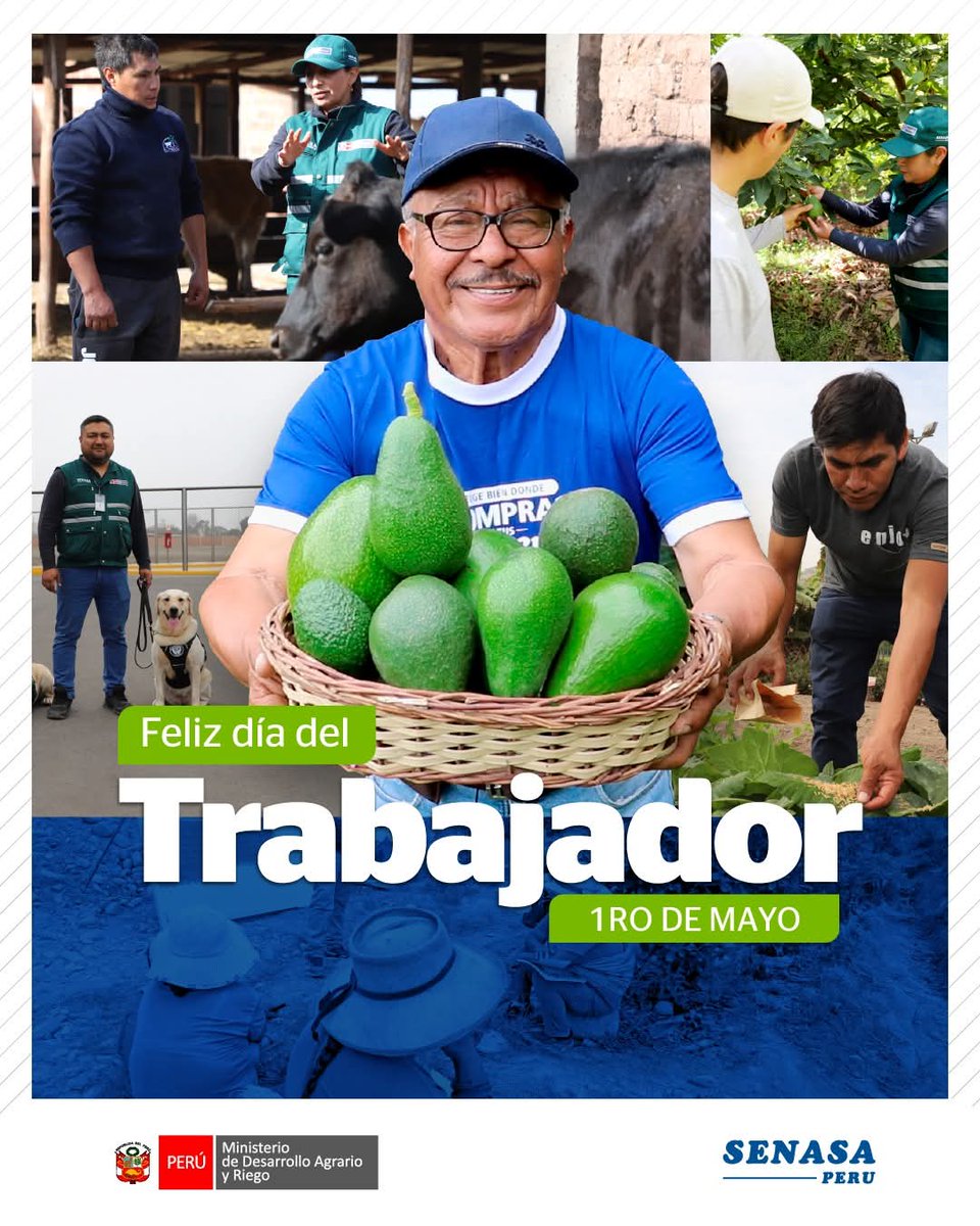 Senasa Perú tweet media