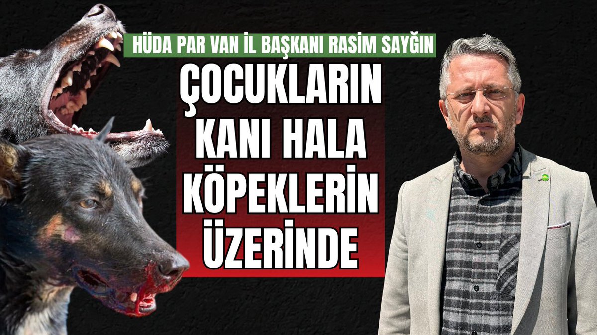 Van65Haber tweet media