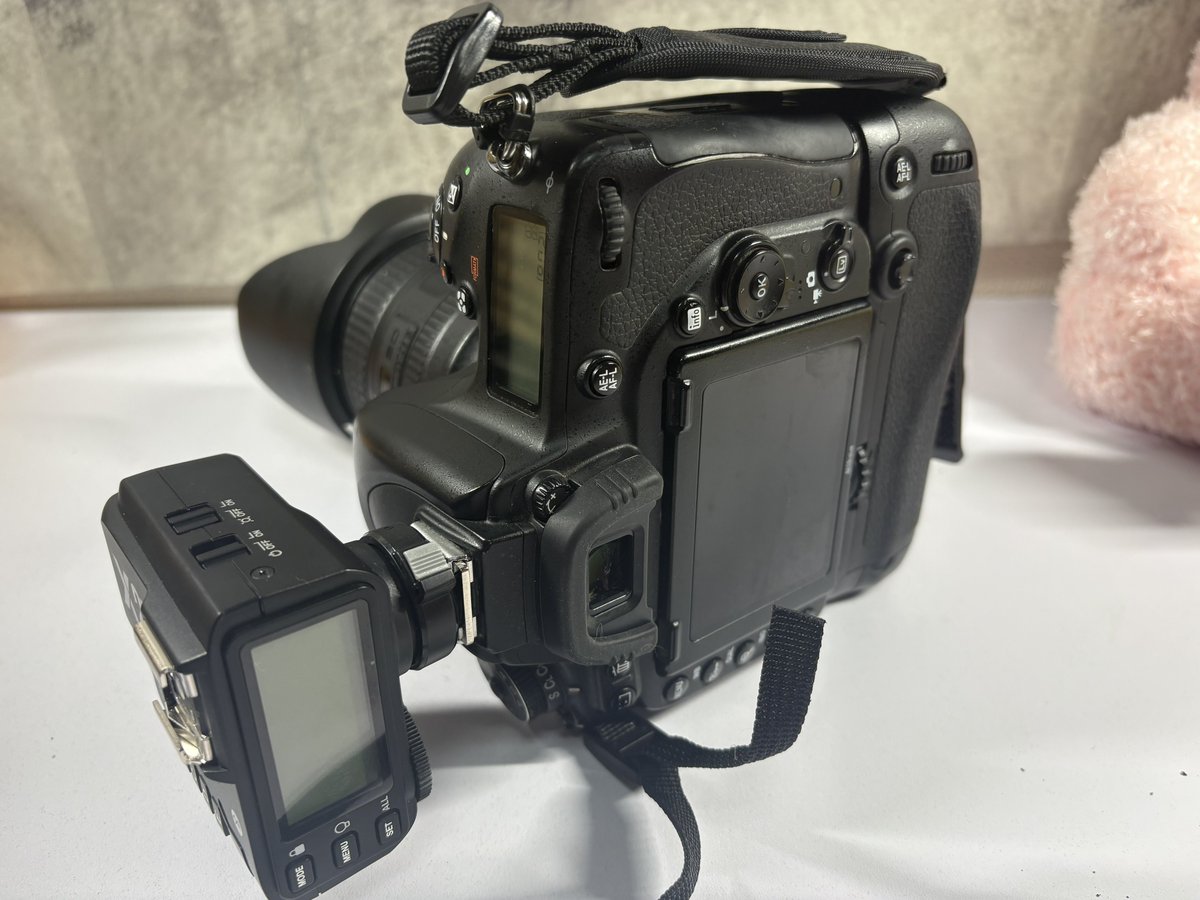 yuria_takane_P's tweet image. でっかいから眺めているだけでジーンと来ますねぇ😺
#型落ち機材同盟
#D750