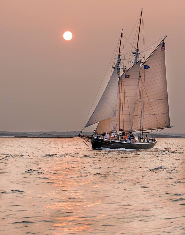 DelightMoments_'s tweet image. #sailing