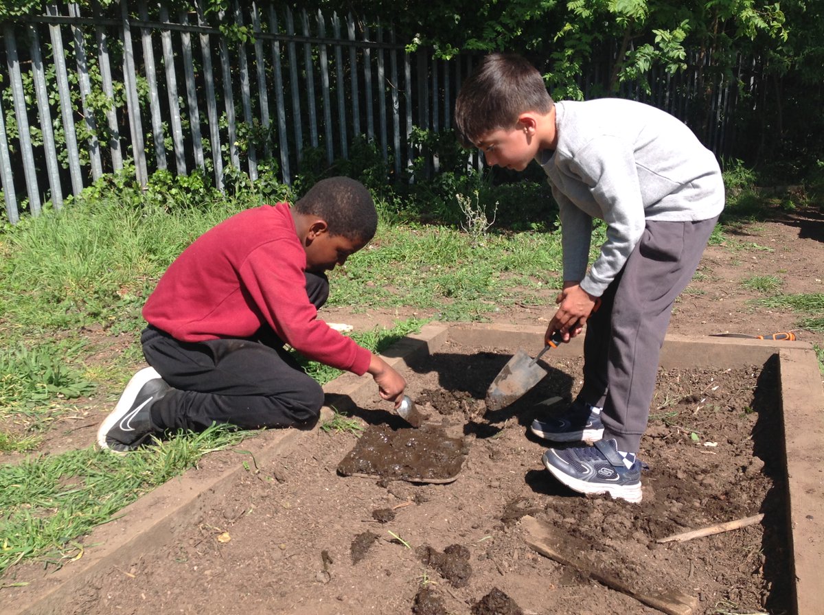 Branfil Primary School tweet media