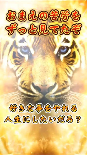 yamagame4's tweet photo. このゴールドタイガーみたいなステゴすき https://t.co/G7BK56wTv8