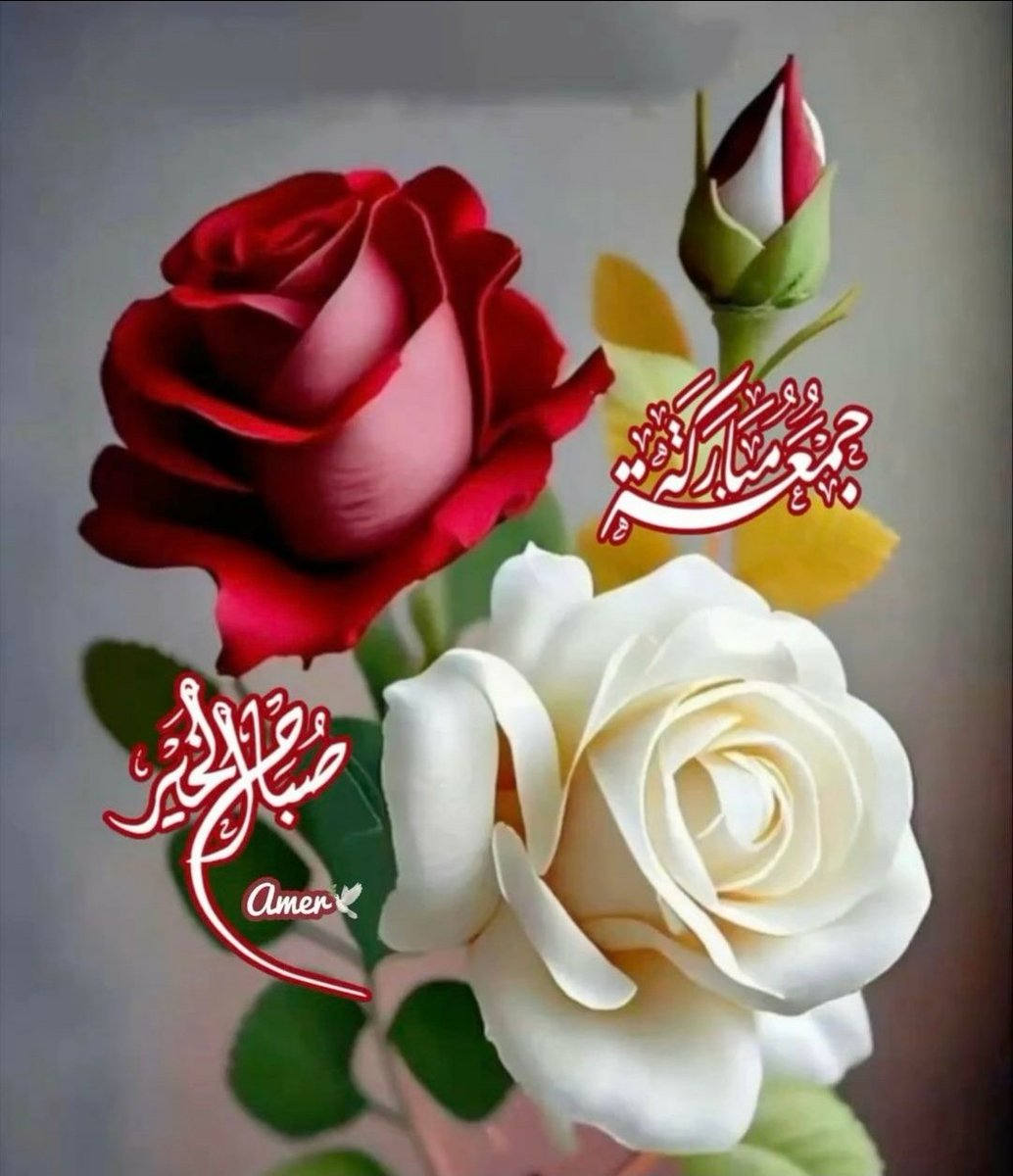 صنعانية tweet media