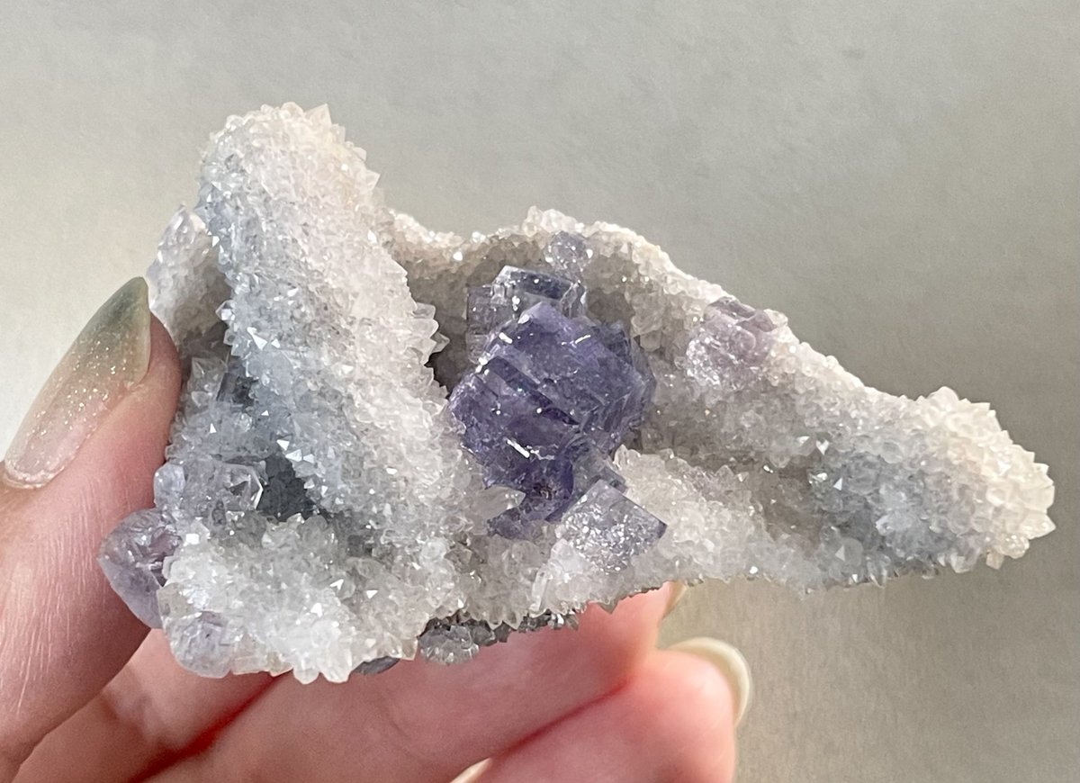 Kotoko_f's tweet photo. クォーツに囲まれた
ショートケーキタイプのラビエスカ🍰

Ys mineralさん(@ys_mineral)より✨

Fluorite
La Viesca Mine, Spain https://t.co/I85rvJigfV