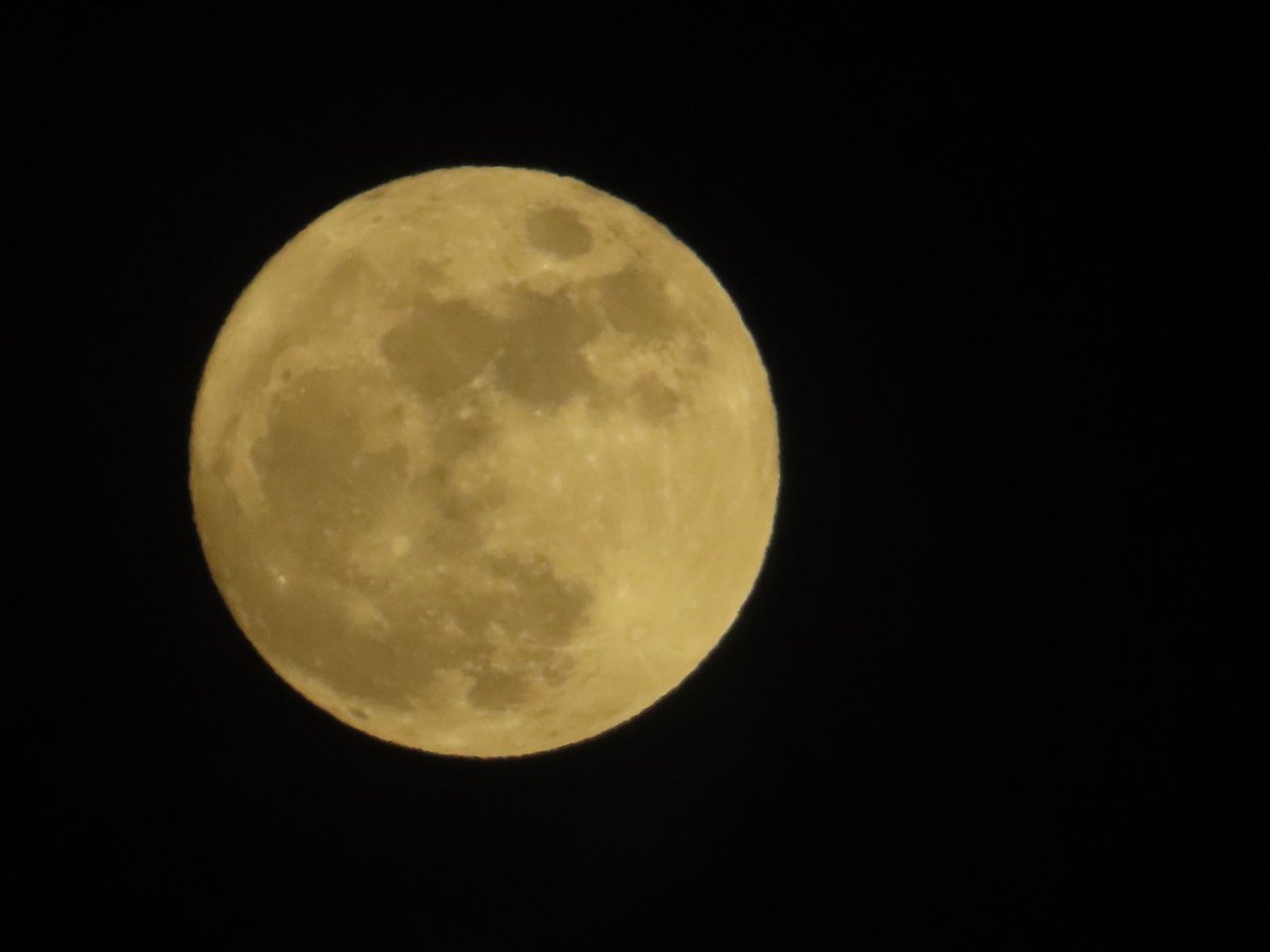 mayudog's tweet image. 明日が満月らしいけど
見た目ほぼ満月🌕✨

先日買ったデジカメで📸👍
手持ちで撮ったから少しブレました😅

#キャノン #canon #sx740hs #デジカメ #満月