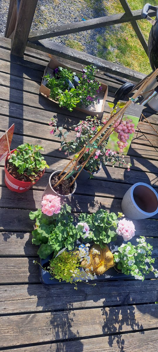bloemenmeisje🇸🇪 tweet media