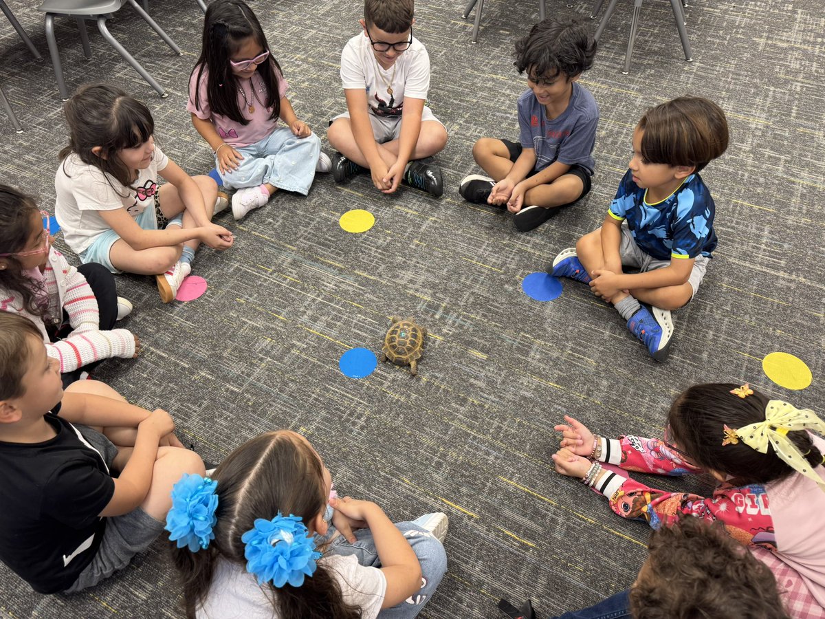 MsRios_bil's tweet image. Aprendiendo de las tortugas terrestres 🐢 y día de chicle! #Kindergarten #bilingual #MRobPride @MRobinsonElem