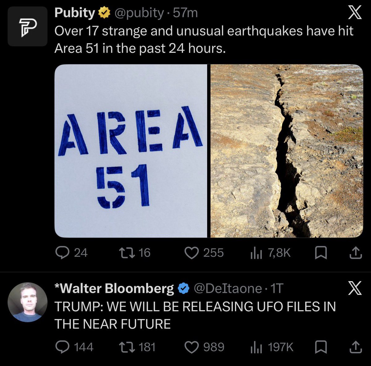Elienus Muskius tweet media