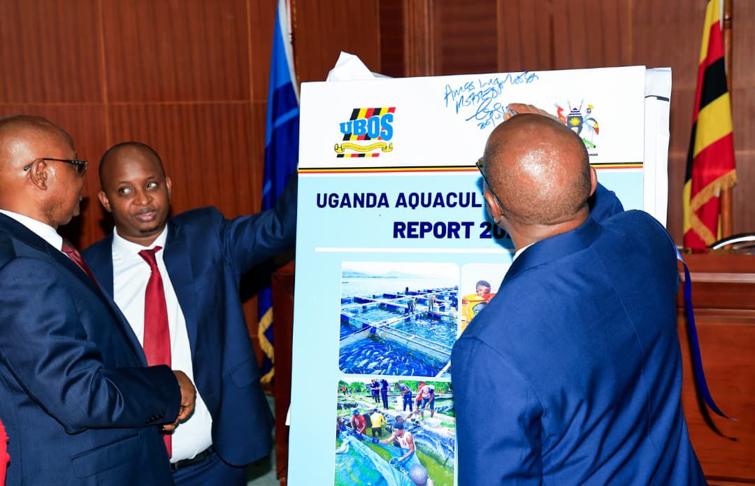 katwiireMolly's tweet image. The data generated in the report will support planning in the Aquaculture sub-sector as the country progresses towards ensuring food security, income generation, and value addition for agricultural products.
@StatisticsUg
#UBOS #UACReport2025 #DataForDevelopment