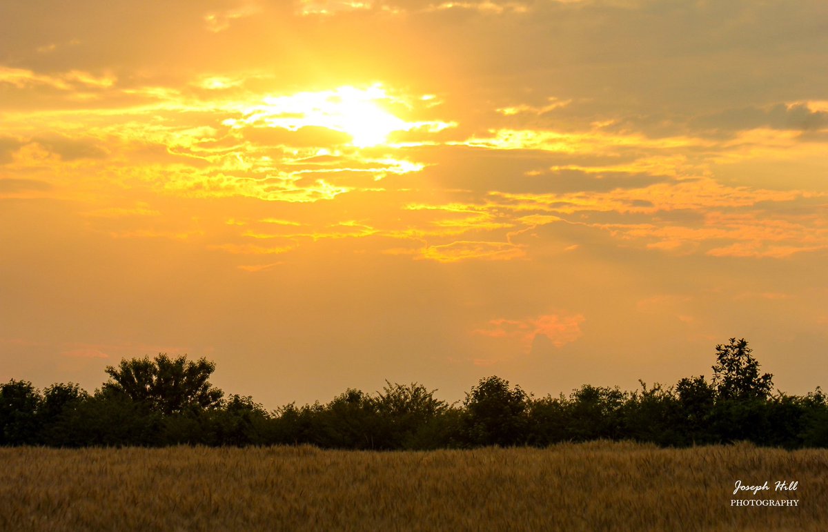JosephHill3794's tweet image. Sunrise☀️☁️
#May 2021  
Photo By: Joseph Hill🙂📸☀️

#sunrise #bright #morning #clouds #sky #sunlight #field #trees #nature #spring #Daylight #beautiful #colorful #awesome #peaceful #daytime #NaturePhotography #VassNC