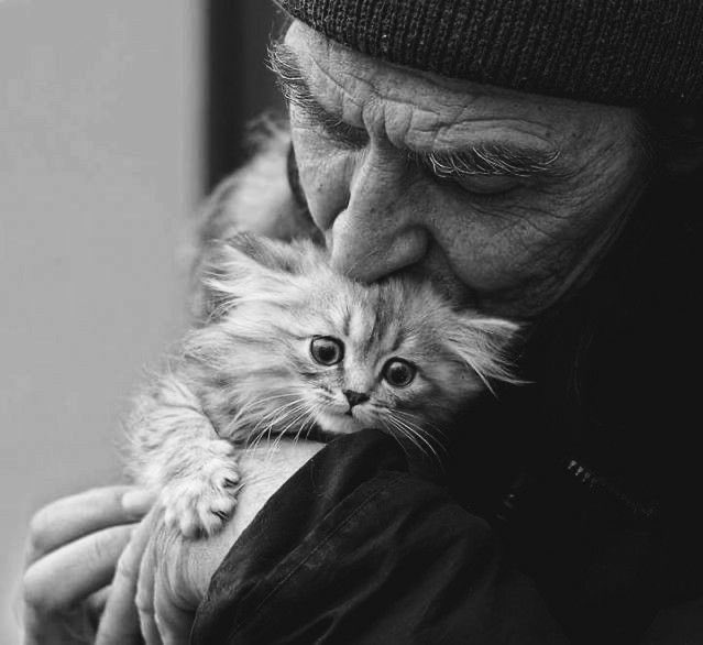 maledetta tragica necessità, che si fa lieve davanti a un istante d'amore

(📸web)