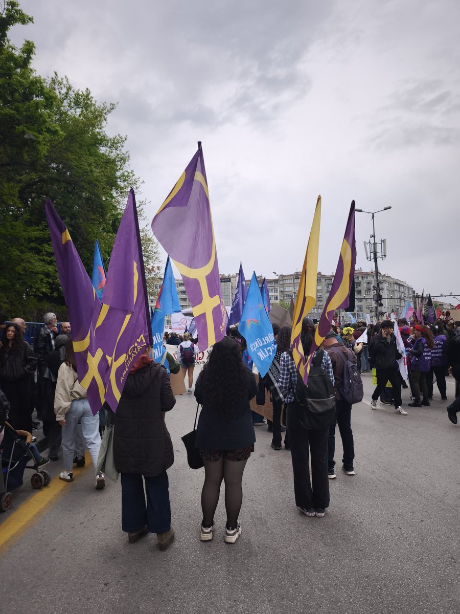 Ankara Mor Dayanışma tweet media