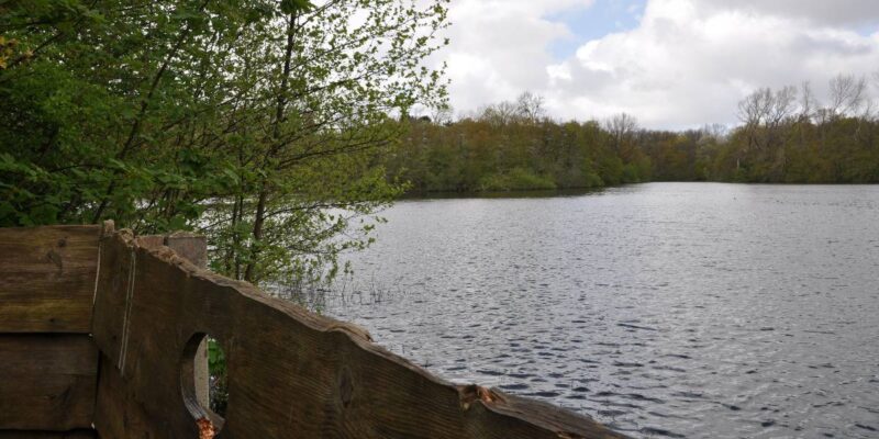 OntdekAlkmaar's tweet photo. Zondag 10 mei Ommetje in Bakkum en omgeving -  https://t.co/POVC3jrVzQ  #Bakkum #NoordHolland #Castricum #Wandelen #Lopen #Natuur #Gids #landschap #activiteiten https://t.co/Mxz598Ppfl
