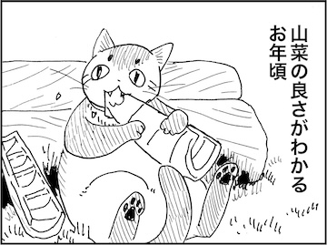海月 海月の水槽 (@112coss_kmsy) / Posts / X