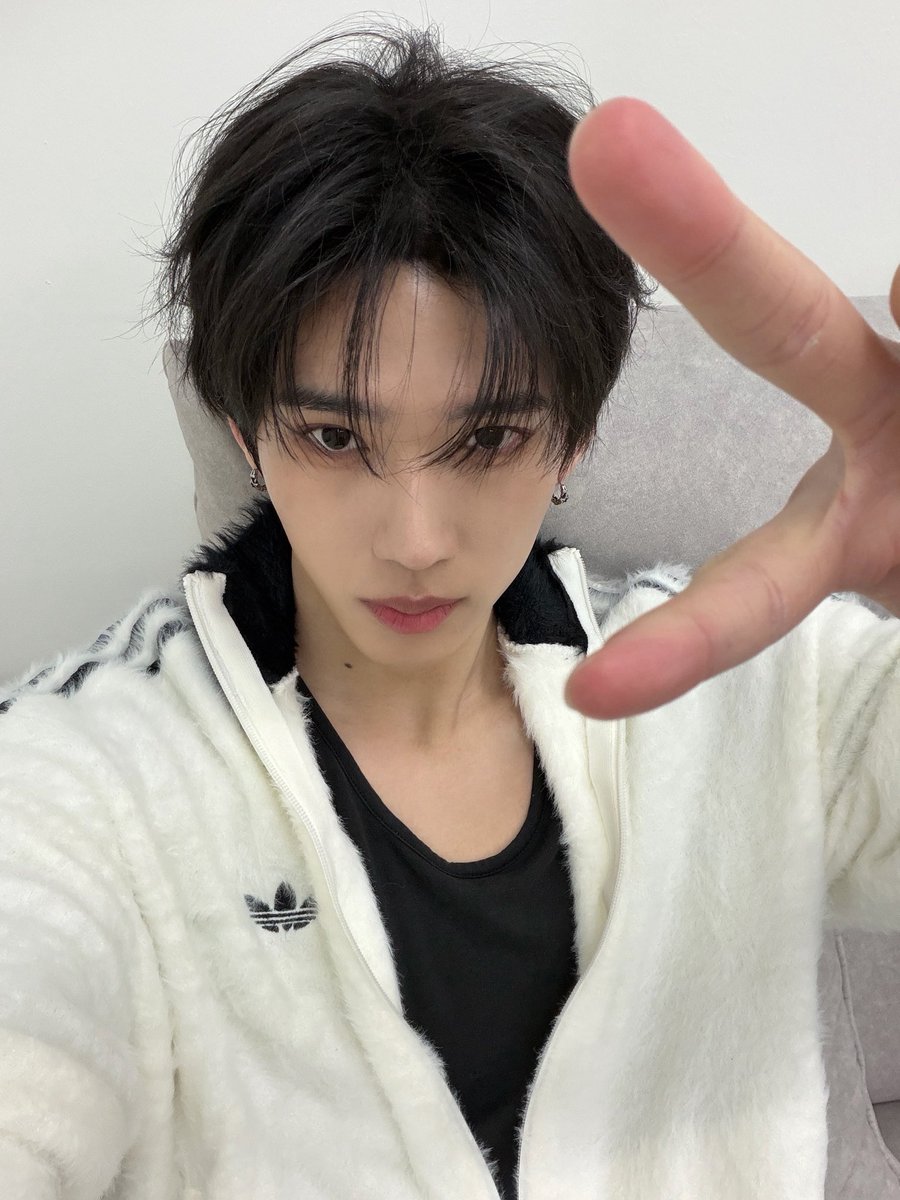 립톤 tweet media