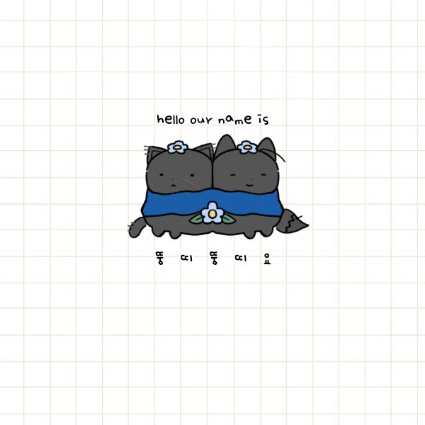 9999000m's tweet photo. 귀엽잖아
최고잖아
사랑스럽잖아
아기잖아
아 어떡해 https://t.co/cCGTii8wSP