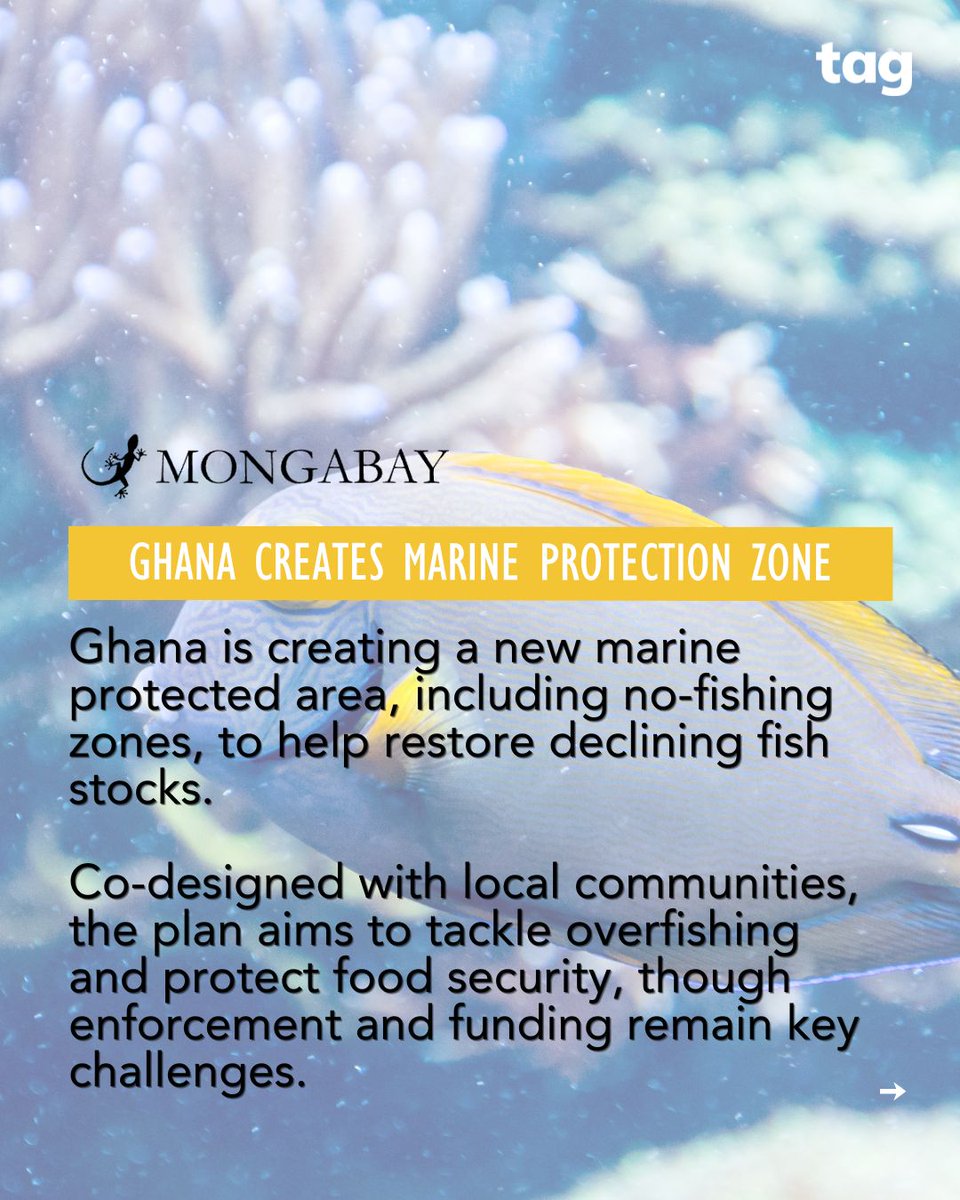 TakeActionEdu's tweet photo. April brought some encouraging progress for the planet 🌍💚 

From new marine protection zones to the recovery of key species, there’s real momentum building. Swipe to learn more.

-
Take Action Global
Climate Action Education For All 🌍 https://t.co/xwIcGCJjcu