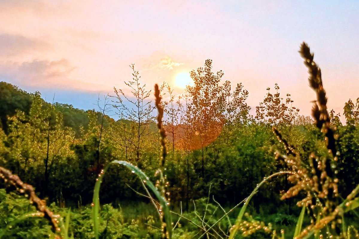 TribStarMark's tweet image. Sunrise over the Honey Creek bottoms north of rural North Prairieton ... It's Friday, Hauteans. #FridayVibes #sunrise #sunrisephotography