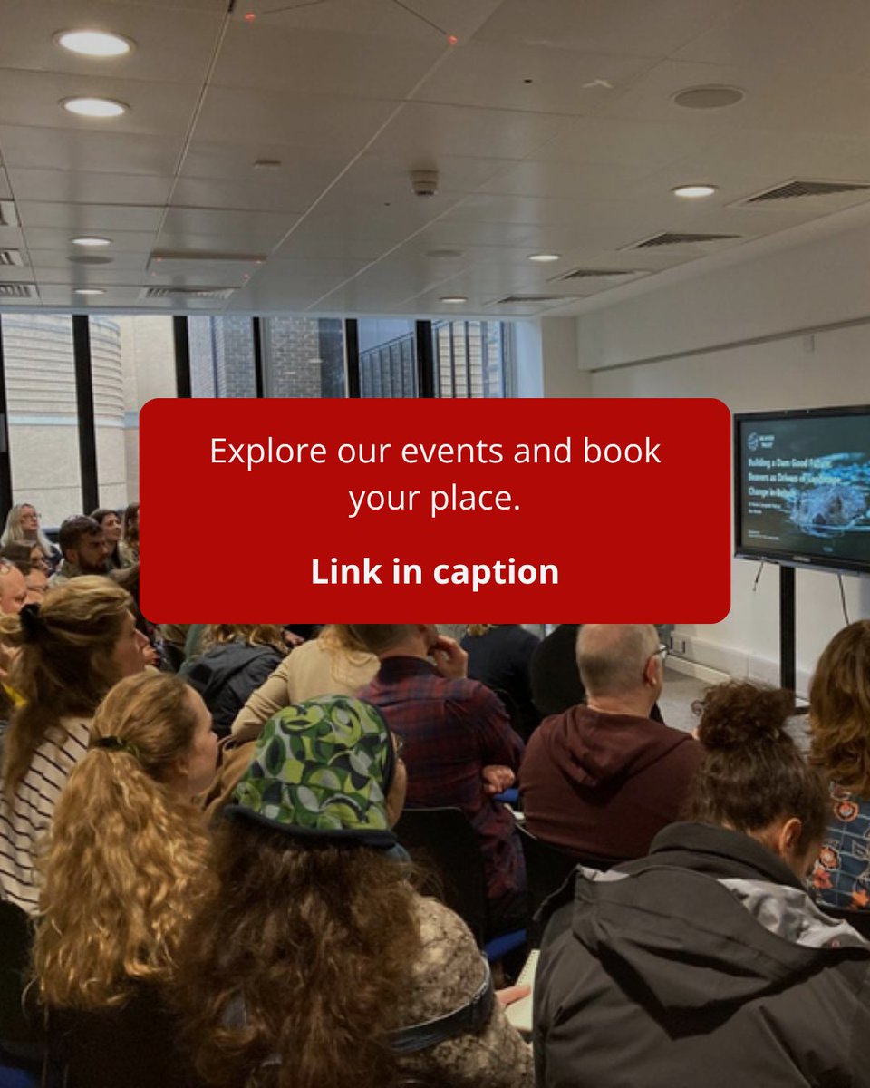 BeaverTrust's tweet photo. Curious to learn about beavers? 
Join a training session to explore the ecology and conservation Eurasian beaver. Whether you're building your knowledge or starting your wildlife journey, there’s something for everyone. 

Book your place 👇
https://t.co/7bRAfQhg4t https://t.co/A86gCkSmVA