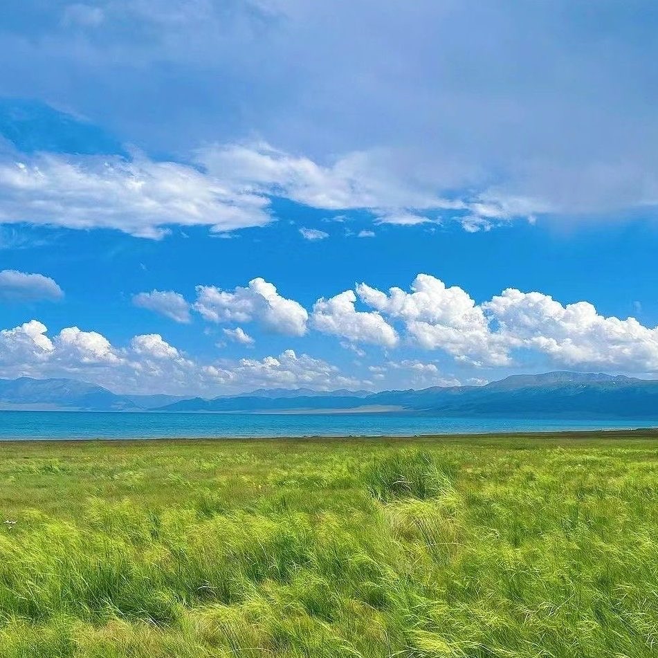 gn5me's tweet photo. imagine a life here… https://t.co/ZyWPPHl5f3