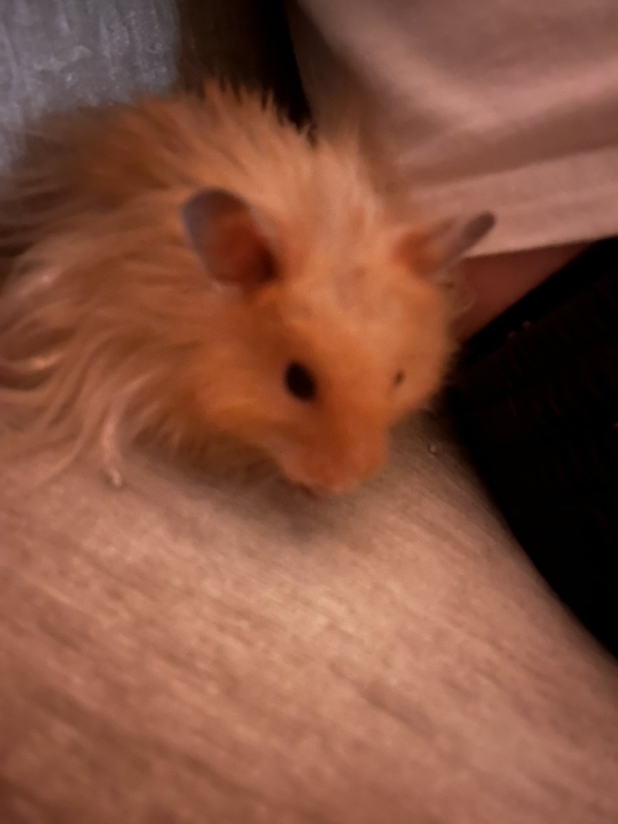 <a href="/ComradeJonesy/">Jonesy 🐀</a> Excellent subject of thought :,)