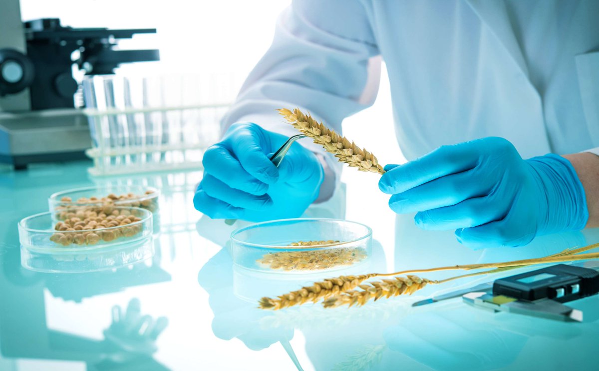 GrainJournal's tweet photo. Grain Farmers of Ontario has announced its 2026 Grains Innovation Fund recipients, including a company developing a high-protein atta flour and a company testing crop residues for its carbon-negative insulation.

Read the full story on Grain Journal: https://t.co/M9FsMuwKfH https://t.co/WBGY9bx6gA