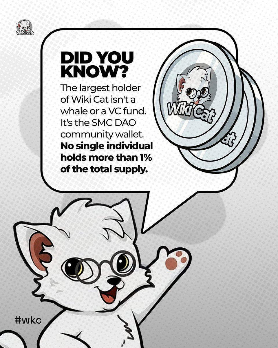 Wiki Cat tweet media