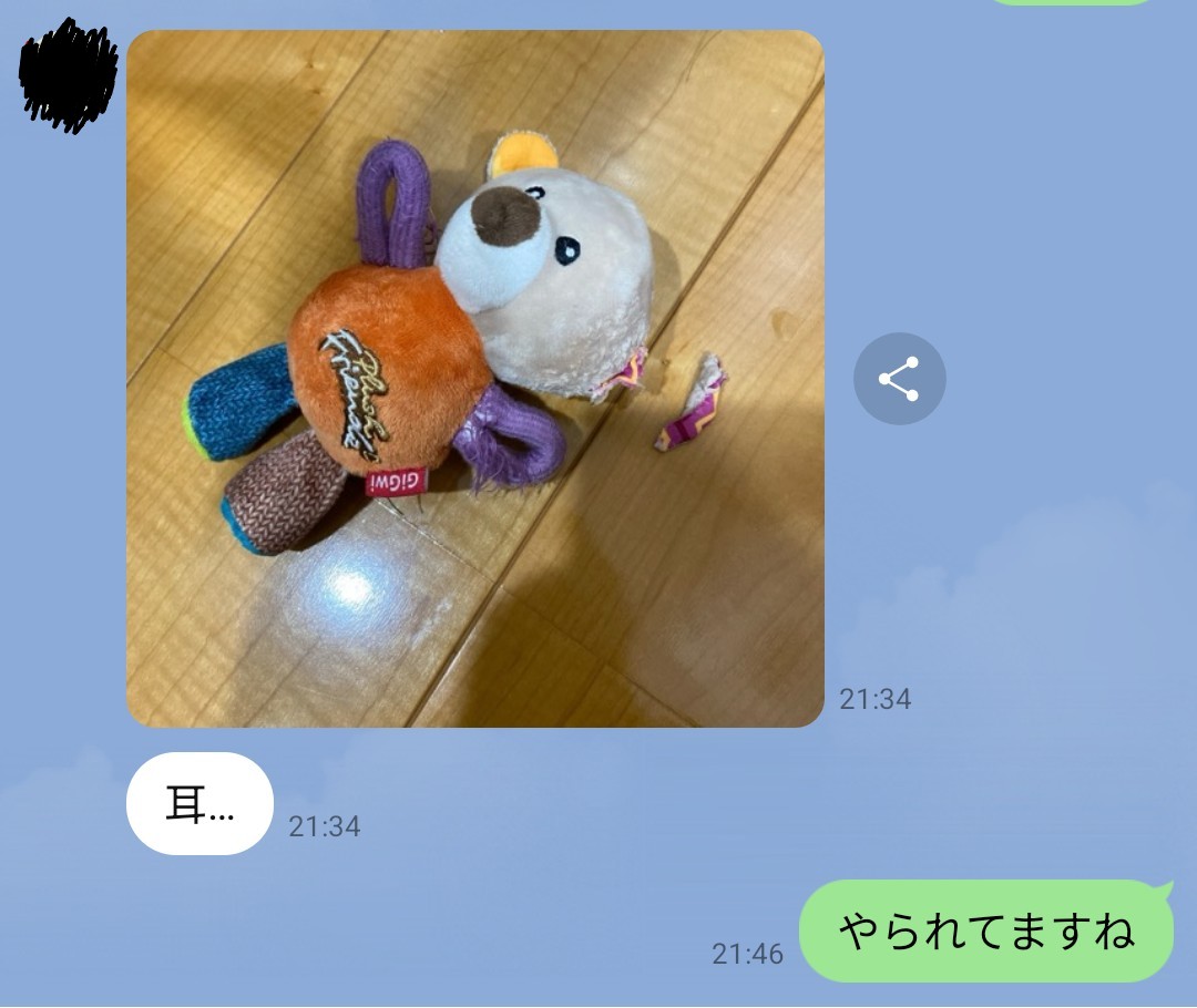 ノーリシエン tweet media