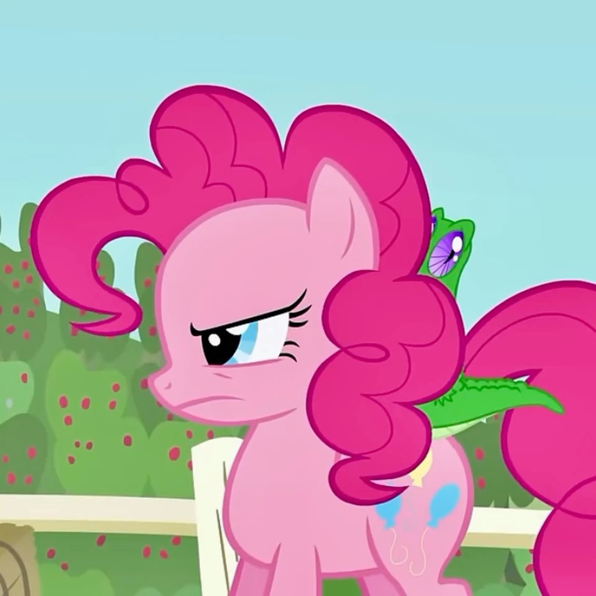 daily Pinkie pie~🏳️‍⚧️ tweet media