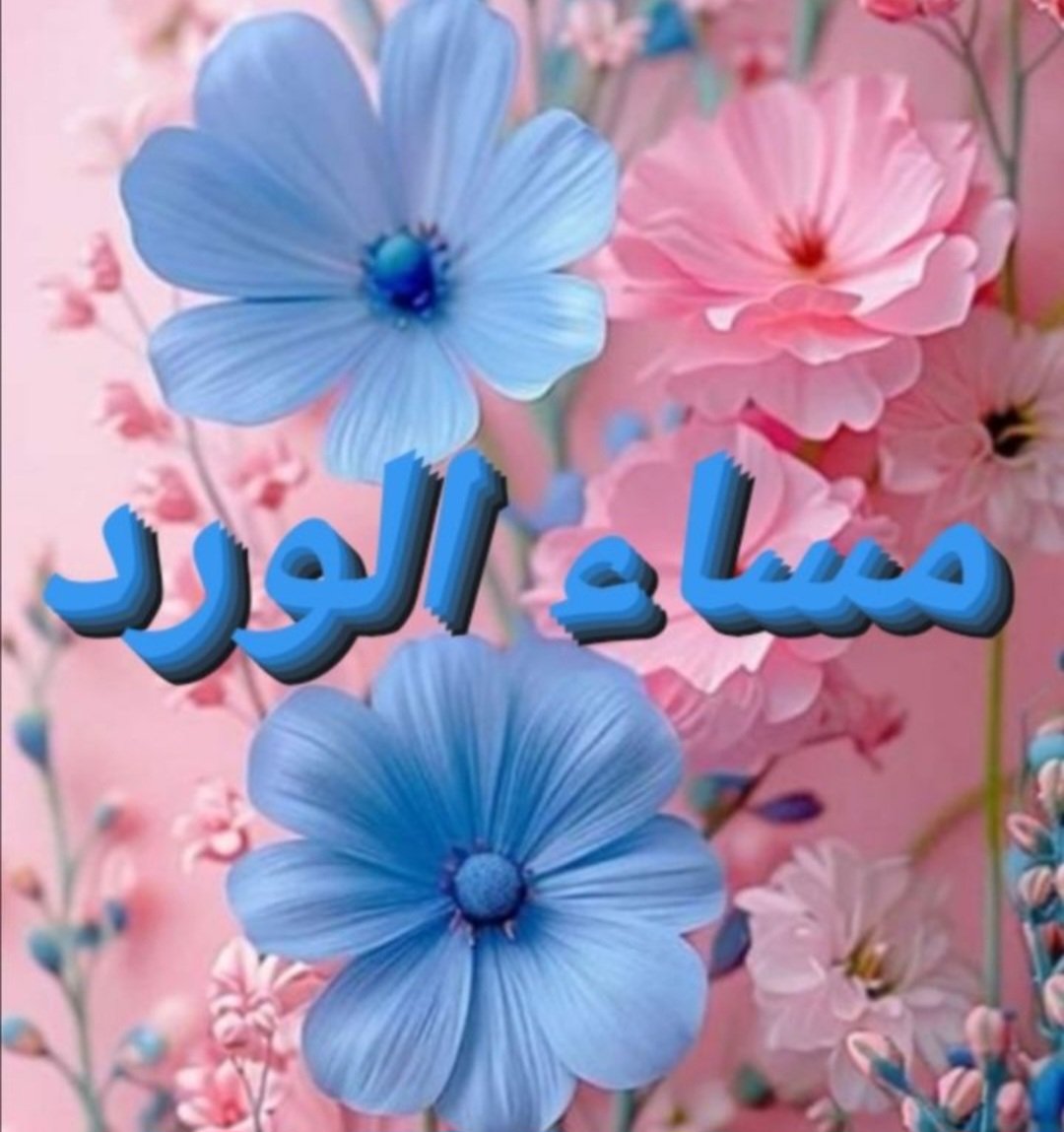 شافي العنزي tweet media