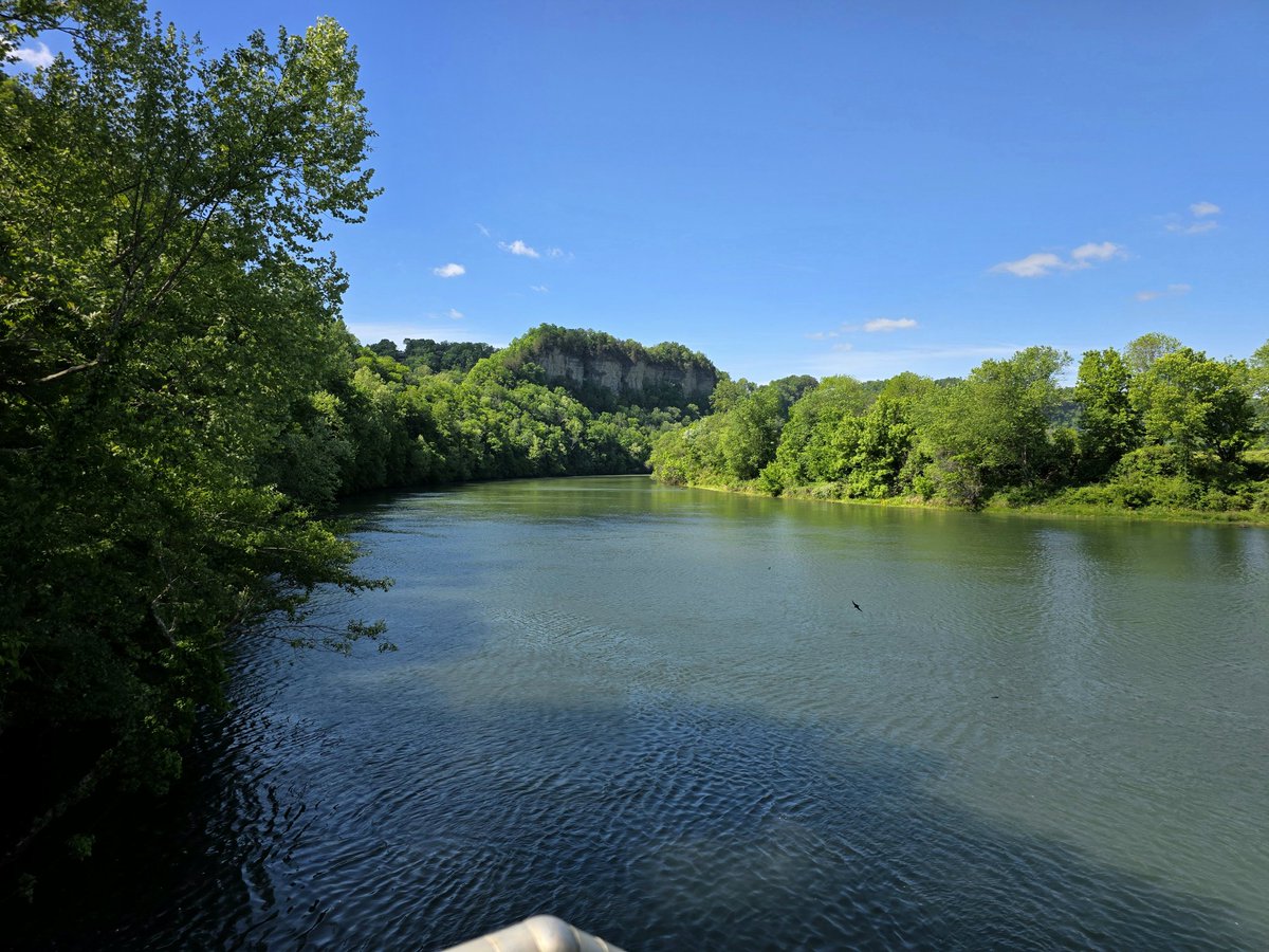 mshoboslayer's tweet photo. The Cumberland River is so pretty 😍 https://t.co/pjeO0EF7Of