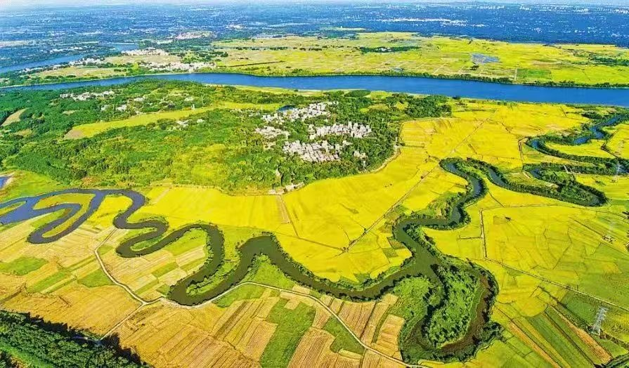 explorehainan's tweet image. A healing date awaits in Haikou’s hidden wetlands 🌿

Morning: cycle through rice fields as egrets rise.
Afternoon: dip your feet in a volcanic spring.
Dusk: watch mangroves turn golden.

Slow down. Breathe. Reconnect with nature — and yourself.

#Haikou #Wetlands #HealingJourney