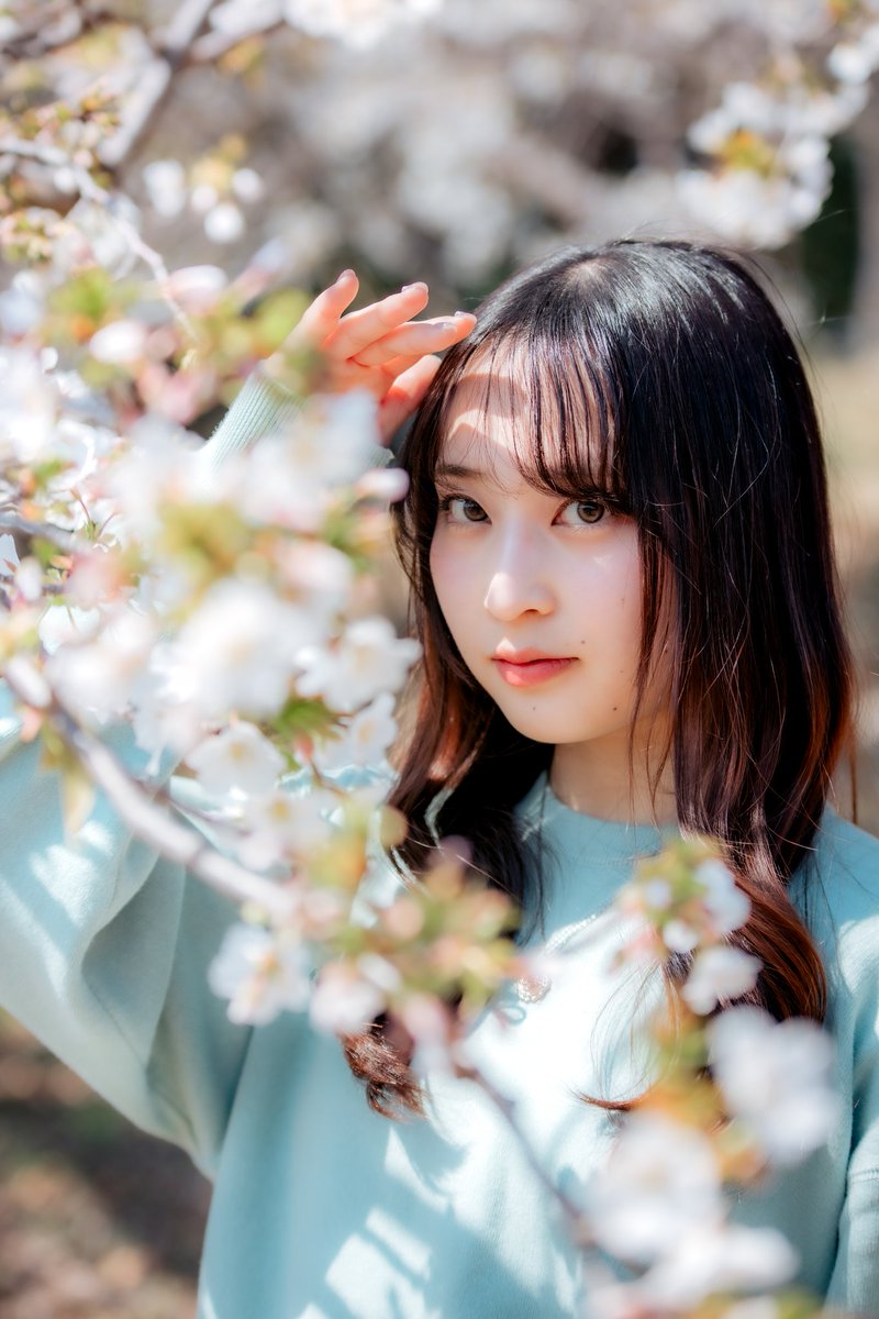 tomomatsu12's tweet image. 2026.5.1
やらかな光に包まれて、
春の中で、静かに息をする。

何気ない瞬間が、
そっと心に残っていく。

2026年3月撮影
四本堂公園

Model：みゆさん

A quiet spring moment that gently stays in the heart.

#portrait #springvibes #cherryblossom #japanphotography #artofvisuals