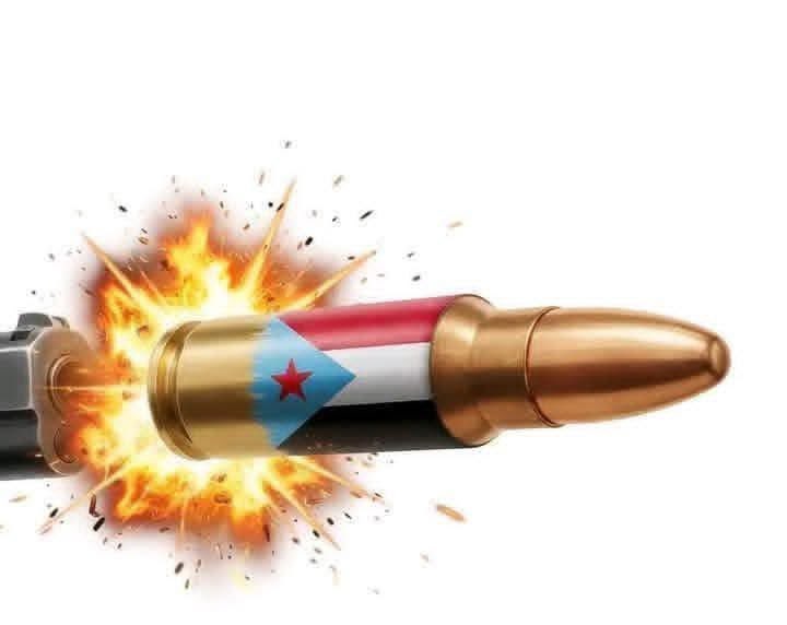 الدبلوماسي tweet media
