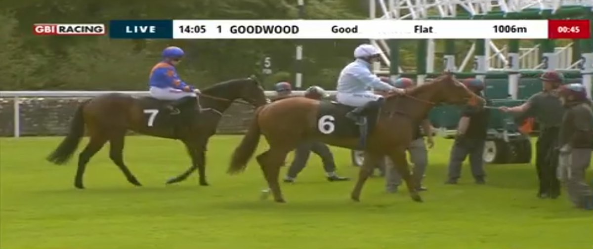 rebelsart's tweet image. 🏆Winner🏆
Results of the 14:05 EBF Novice Stakes at Goodwood @Goodwood_Races🏇🇬🇧
🥇Armor Supreme
J: Hollie Doyle @HollieDoyle1
T: Diego Dias @DiegoDiasracing 
Positive ride Hollie, well done‼️💪
#winner #Goodwood #HorseRacing #Congratulations @Simysimo @NeilTho02681313 @titchy34