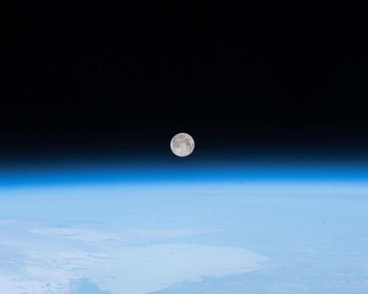 NASAAmes's tweet image. Full moon in bloom 🌕🌸

Look up tonight to see the first full moon of May, the Flower Moon, in the night sky!

Where will you be moongazing from?
