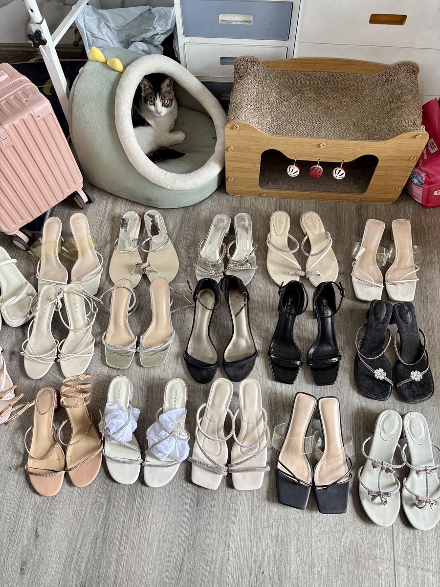 是小琴琴琴琴吖 tweet media
