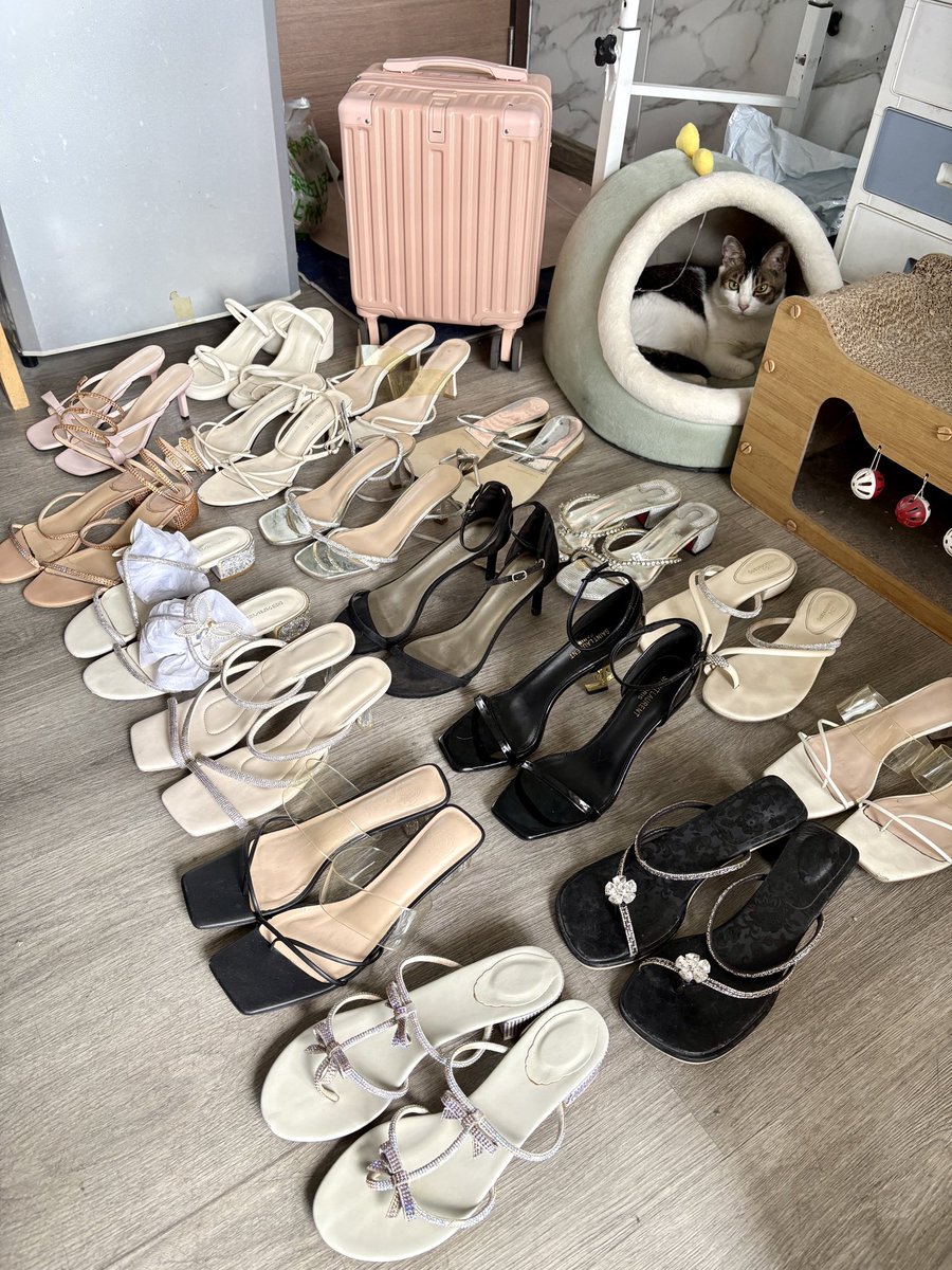 是小琴琴琴琴吖 tweet media