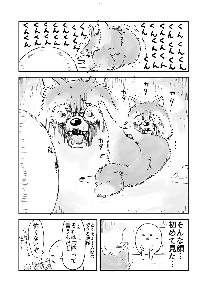飼い犬の思い出 