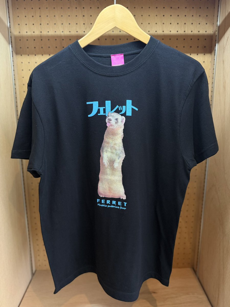 Creatursholic_0's tweet photo. 〜商品紹介〜
フェレット1匹ver
ｻｲｽﾞ110〜XXL
器用に立って舌ペロまで！！可愛いが詰まったフェレットTシャツです🫶🏻
#フェレットTシャツ #フェレット https://t.co/v5xdRA0lPL